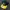 New Era Vintage Streetwear Capes & poncho Pria green yellow photo 1