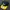 New Era Vintage Streetwear Capes & Poncho Pria Green Yellow