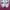 Adidas Streetwear Casual Sneakers Wanita white pink photo 4