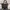 Herschel Avant Garde Casual Bag Pria black photo 4