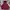 Champion Casual Hoody Pria burgundy photo 1
