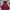 Champion Casual Hoody Pria Burgundy