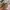 Iphone 15 Pro Max photo 8