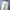 Uniqlo Streetwear Casual Formal pants Pria khaki photo 4