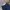 Dickies Streetwear Skater Pria navy photo 2