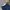 Dickies Streetwear Skater Pria Navy