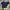 Champion Casual Hoody Pria black photo 2