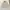 Burberry Vintage Harrington jacket Pria white cream photo 2