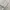 Burberry Vintage Harrington jacket Pria white cream photo 3