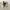Burberry Vintage Harrington Jacket Pria White Cream