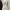 SHEIN Dress Rib Cream | Short Dress | Bodycon Dress photo 3