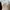 SHEIN Dress Rib Cream | Short Dress | Bodycon Dress photo 5