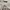 SHEIN Dress Rib Cream | Short Dress | Bodycon Dress photo 2
