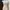 SHEIN Dress Rib Cream | Short Dress | Bodycon Dress photo 1