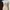 SHEIN Dress Rib Cream | Short Dress | Bodycon Dress