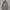 Vintage Streetwear Windbreaker Pria gray photo 4
