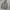 Vintage Streetwear Windbreaker Pria gray photo 2