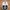 VANS SLIP ON PRO WHITE BLACK ( BNIB )