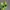 Asics Sportswear Boots Pria green photo 2