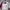 Adidas Sportswear Windbreaker Pria white red photo 2