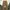 Uniqlo Vintage Streetwear Pria Tan