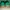 VANS STYLE 36 GUM SOLE GREEN ( REPLACE BOX ) photo 4