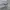 Codegraphy Streetwear Windbreaker Pria multicolor photo 6