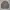 Sportswear Casual Windbreaker Pria tan photo 1