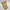 Casual Short Pria tan brown photo 3