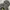 Uniqlo Streetwear Casual Hoody Pria gray photo 1
