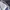 Pancoat Streetwear Casual Sweatshirt Pria white black photo 4