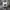 Pancoat Streetwear Casual Sweatshirt Pria white black photo 1