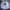 Pancoat Streetwear Casual Sweatshirt Pria White Black