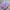 Nike Streetwear Sneakers Pria purple white photo 3