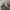 ECKO UNLTD Streetwear Y2K Jeans Pria gray photo 4