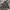 thisisneverthat Streetwear Casual Track jacket Pria multicolor photo 4