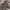 thisisneverthat Streetwear Casual Track jacket Pria multicolor photo 1