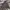 Thisisneverthat Streetwear Casual Track Jacket Pria Multicolor