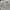 McGregor Vintage Casual Track jacket Pria cream photo 2