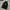 Nike Vintage Sportswear Jersey Pria black photo 2
