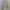 crop top soft purple photo 2