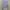 Crop Top Soft Purple