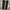 Adidas Y2K Sportswear Short Pria black photo 3
