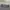 Nike ACG Y2K Sportswear Short Pria gray photo 5