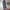 Giordano Casual Jeans Pria navy photo 2