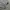 Streetwear Casual Windbreaker Pria gray photo 7