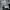 Streetwear Casual Windbreaker Pria gray photo 8