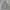Streetwear Casual Windbreaker Pria gray photo 1