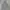 Streetwear Casual Windbreaker Pria Gray