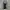 Streetwear Casual Windbreaker Pria gray photo 3